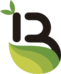 image11
